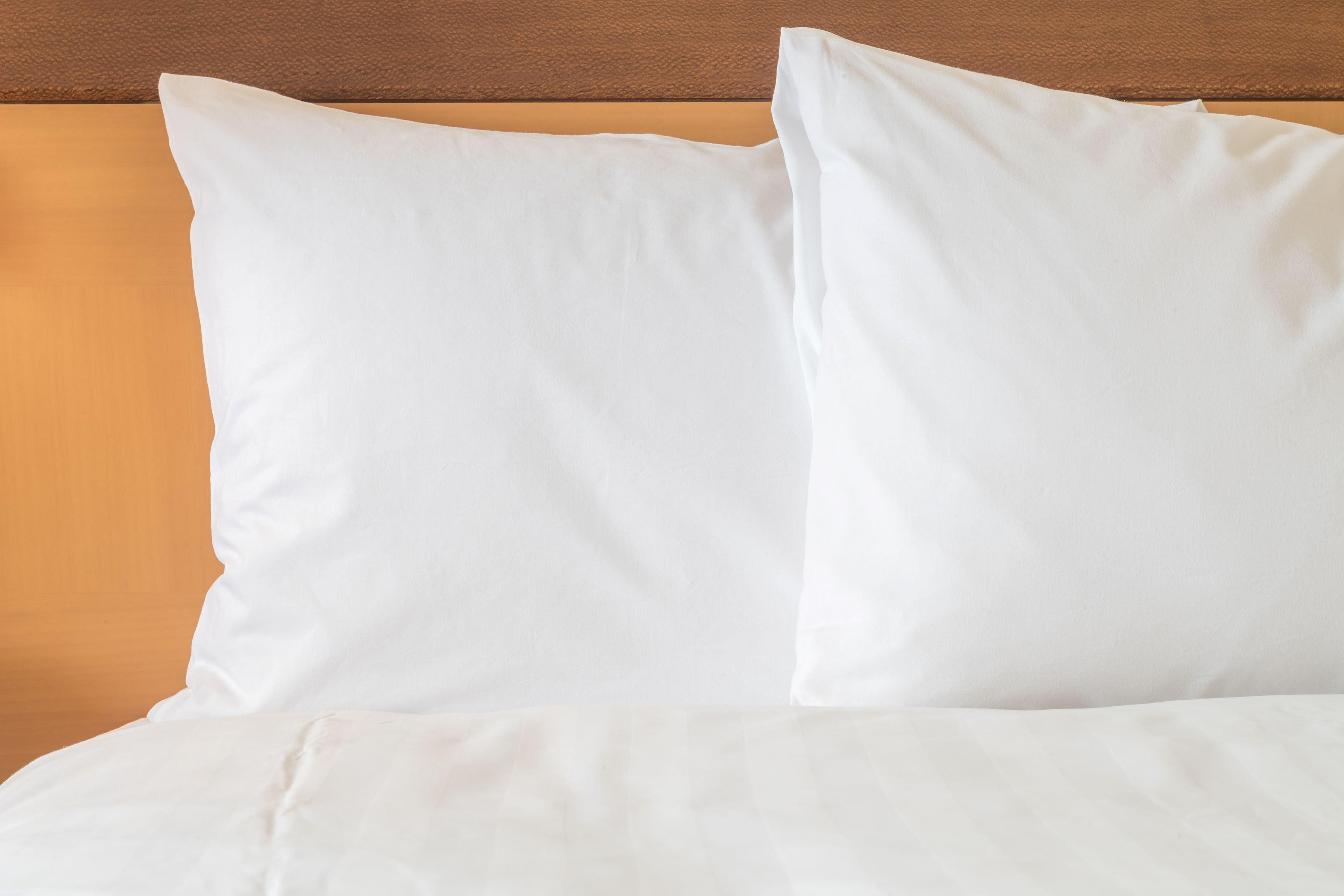 Holiday Inn Express Hotel & Suites Ashland By Ihg Extérieur photo